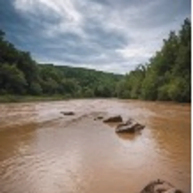 Floating on the Big Muddy Cyser image